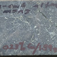 C13-03 xenolith at 204m 1.89gt Au- 11gt Ag 0.23% Cu - feldspar-quartz-biotite porphyry-intense potassic-sericite alt